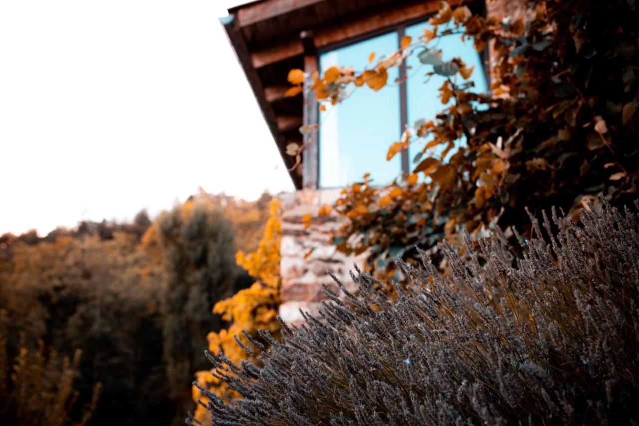 Maison D'Hotes Le Hameau De La Mure Saint-Laurent-du-Pape Εξωτερικό φωτογραφία