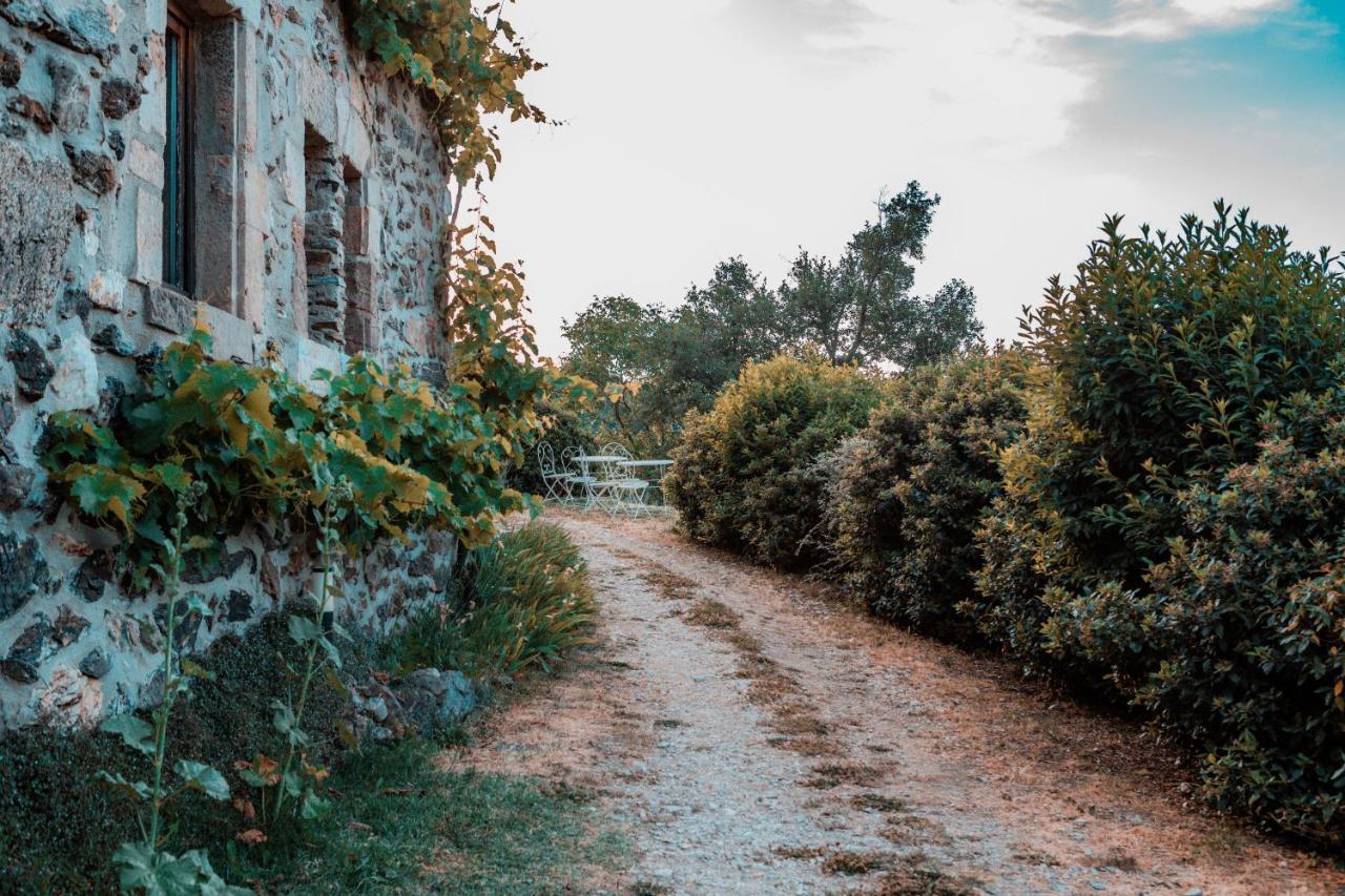 Maison D'Hotes Le Hameau De La Mure Saint-Laurent-du-Pape Εξωτερικό φωτογραφία