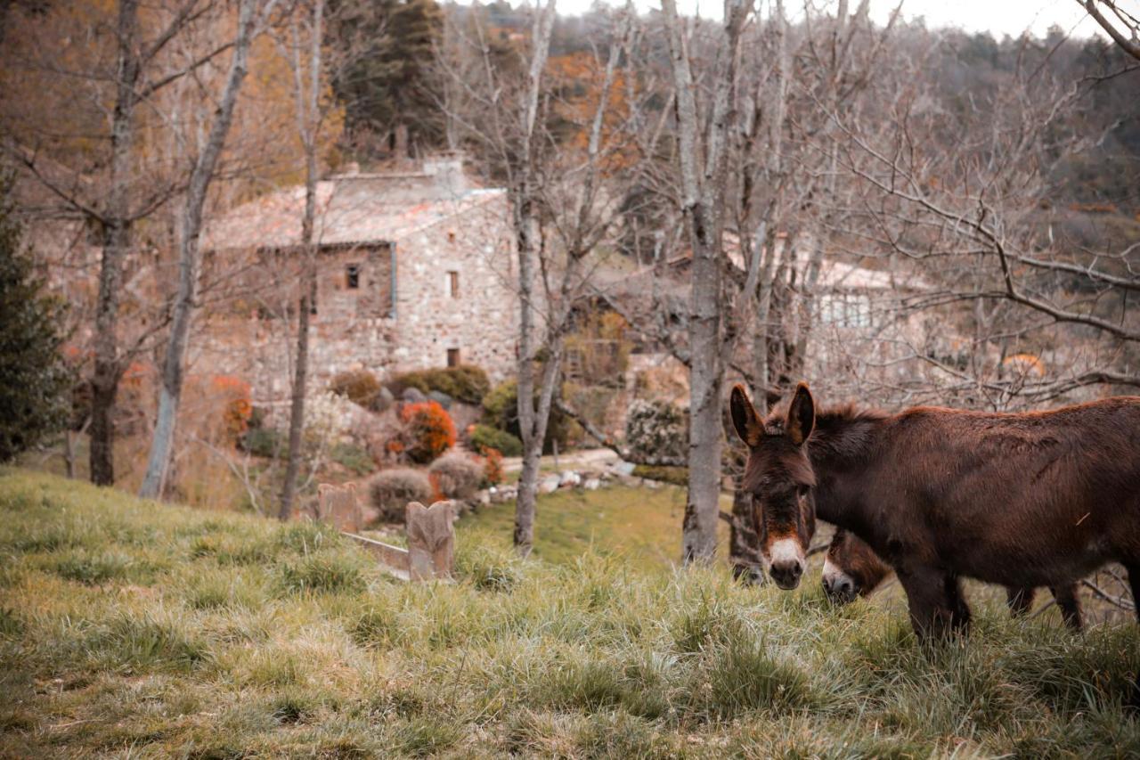 Maison D'Hotes Le Hameau De La Mure Saint-Laurent-du-Pape Εξωτερικό φωτογραφία