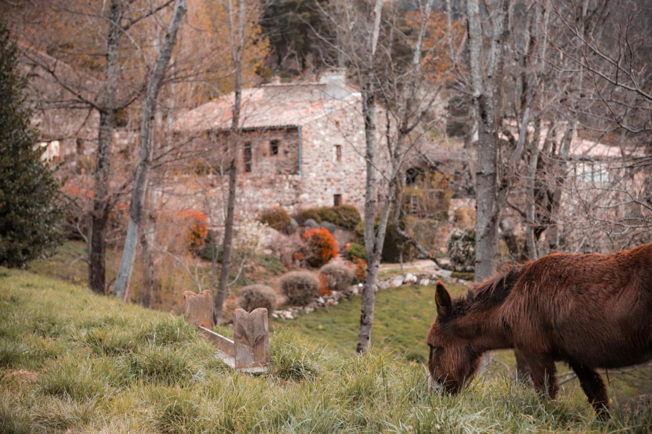 Maison D'Hotes Le Hameau De La Mure Saint-Laurent-du-Pape Εξωτερικό φωτογραφία