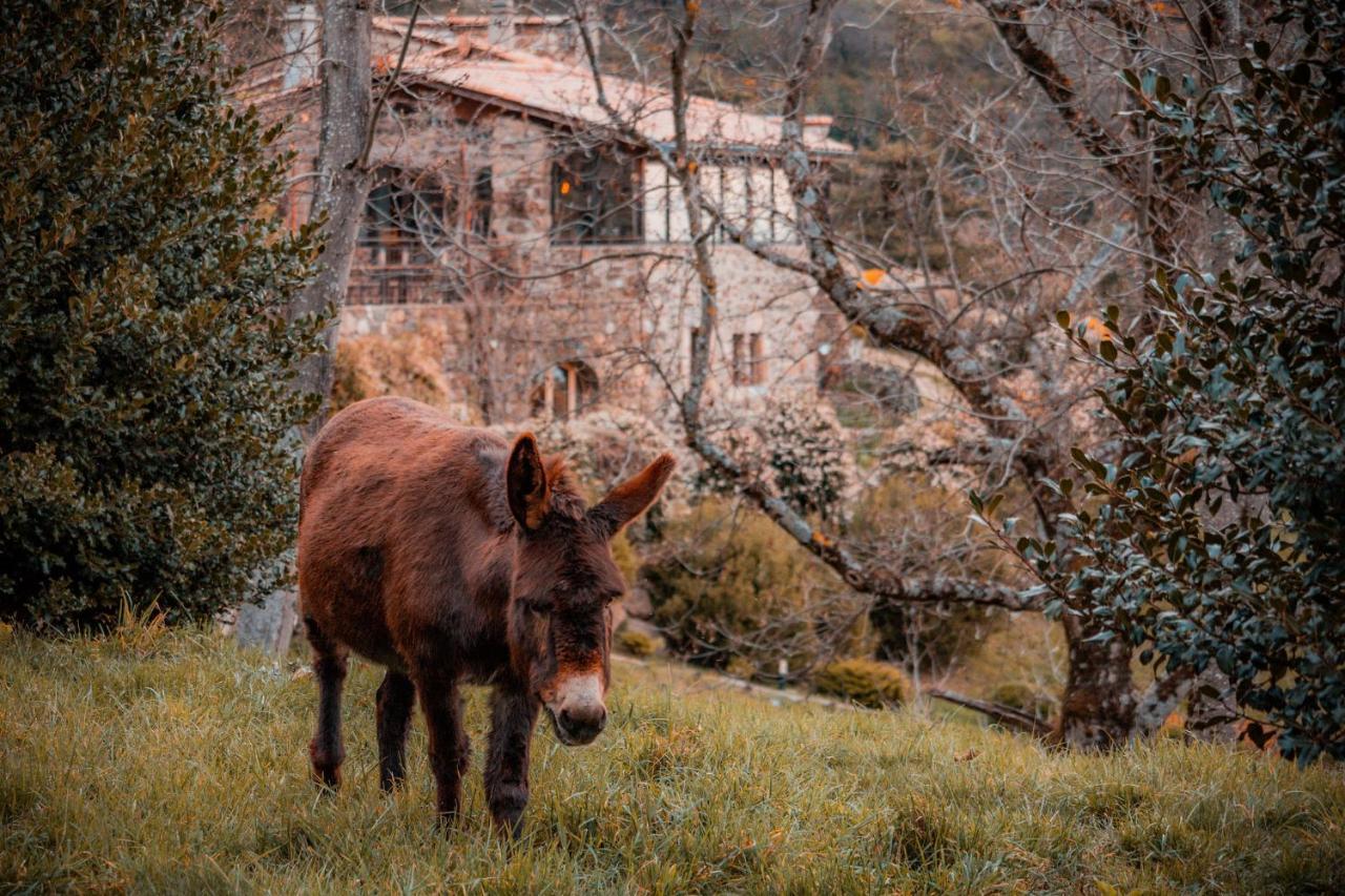 Maison D'Hotes Le Hameau De La Mure Saint-Laurent-du-Pape Εξωτερικό φωτογραφία
